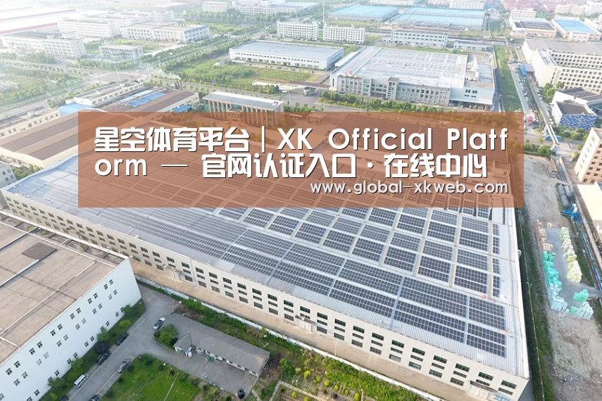 案例展示二