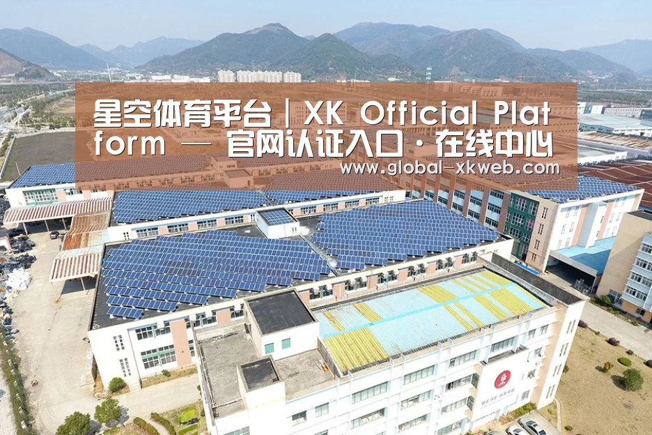 案例展示二