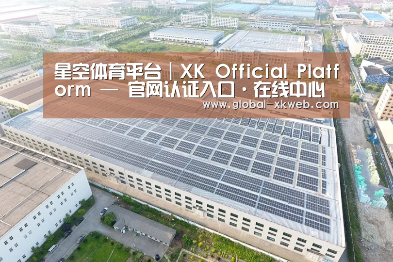 案例展示一