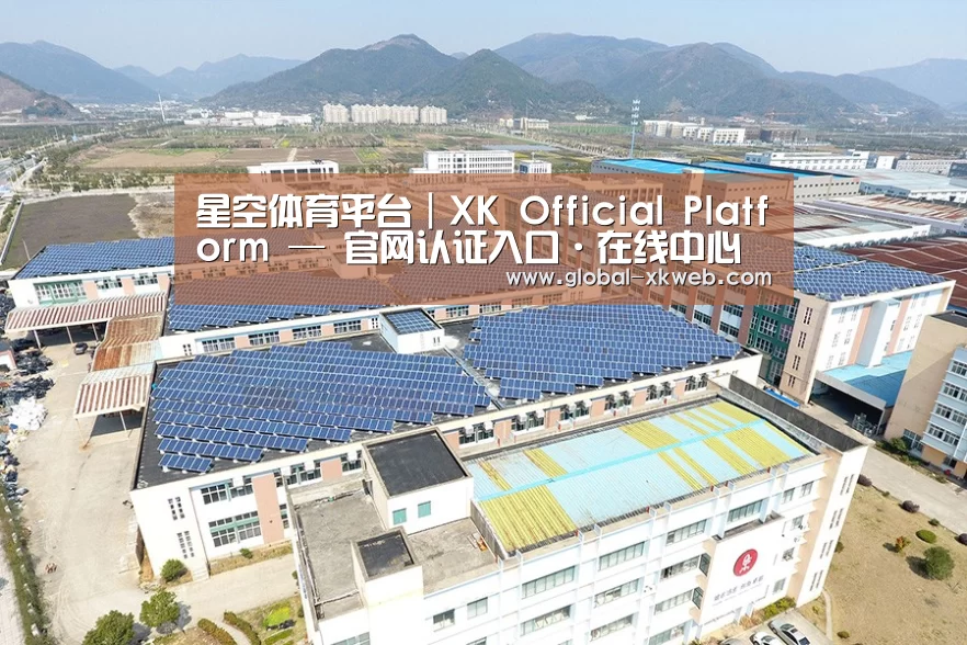 案例展示一