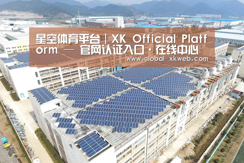案例展示四