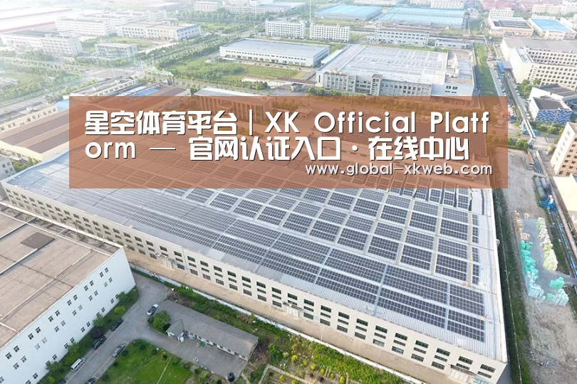 案例展示三