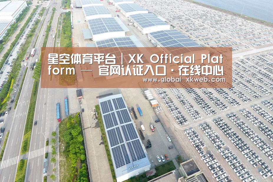 案例展示一