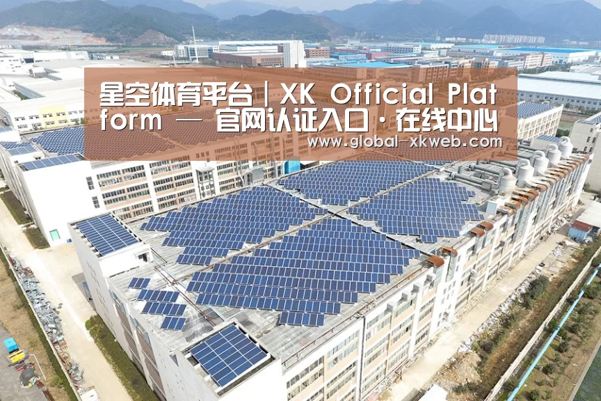 案例展示四
