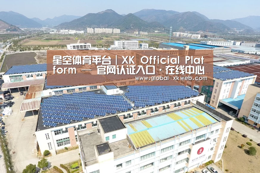 案例展示三