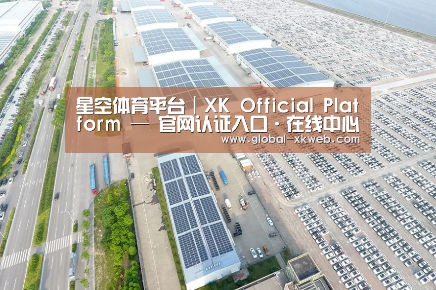 案例展示三