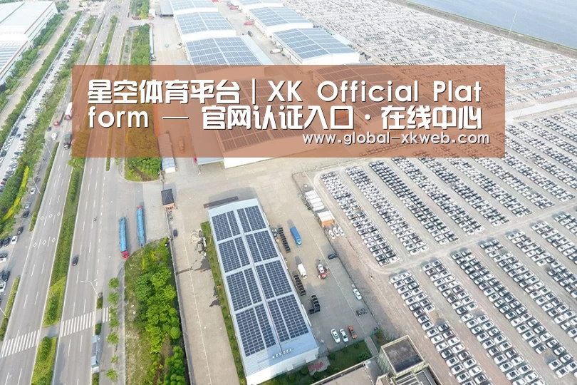 案例展示二
