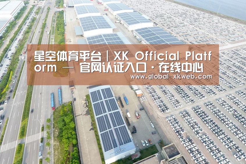 案例展示四