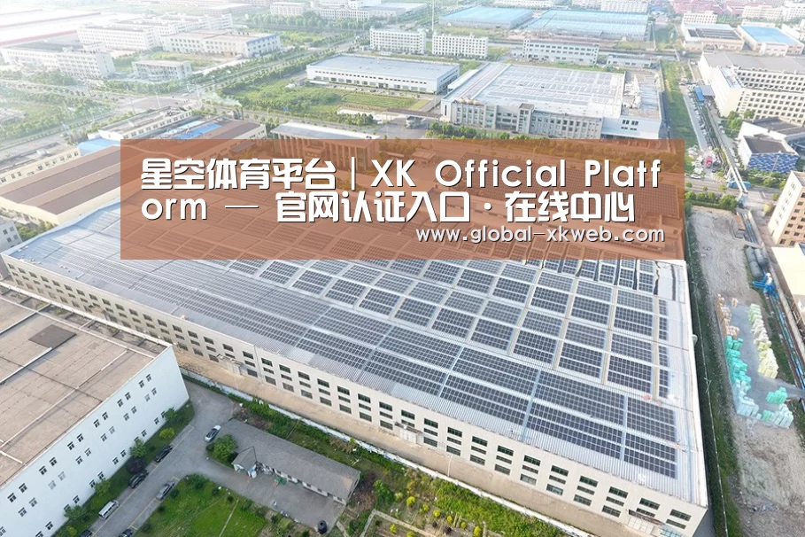 案例展示四