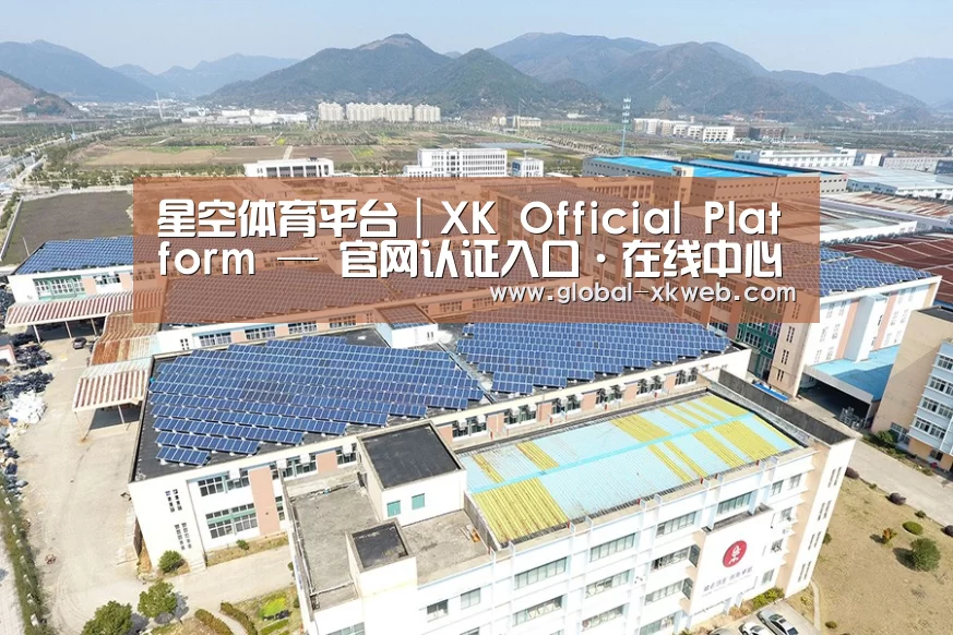 案例展示三