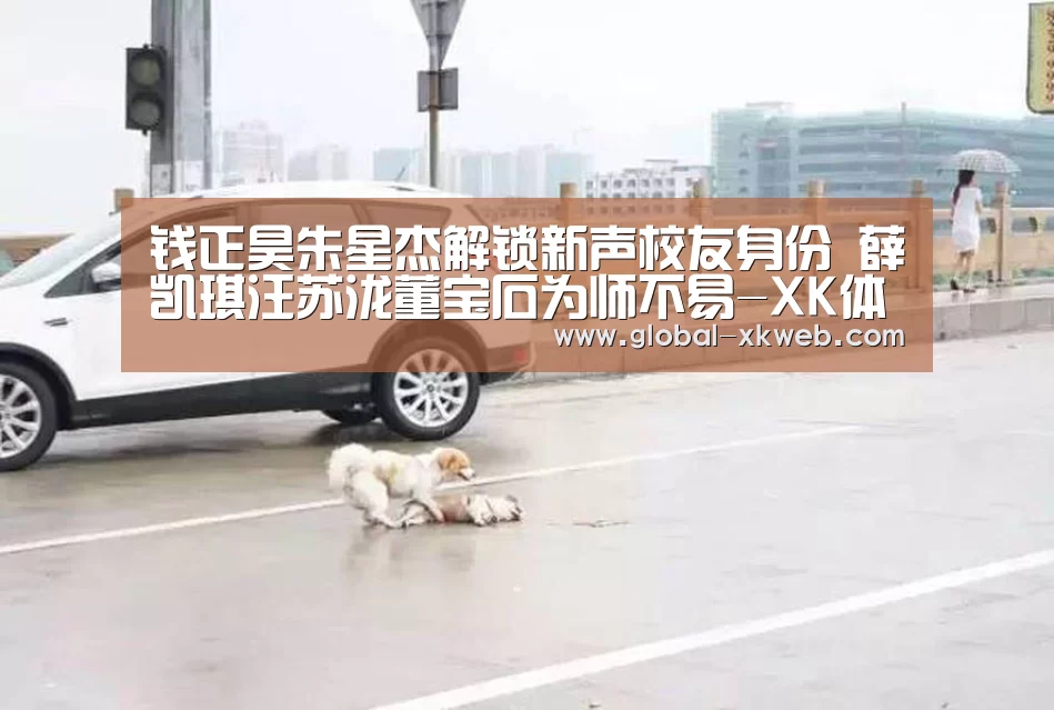 XK体育官方平台