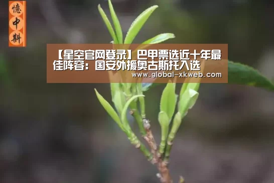 星空官网登录
